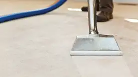 Carpet cleaning wand head gliding over a light carpet during hot-water extraction, Fresno, CA.